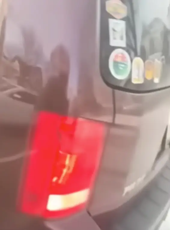 He also noted that Renee's brake light was on (Alpha News)