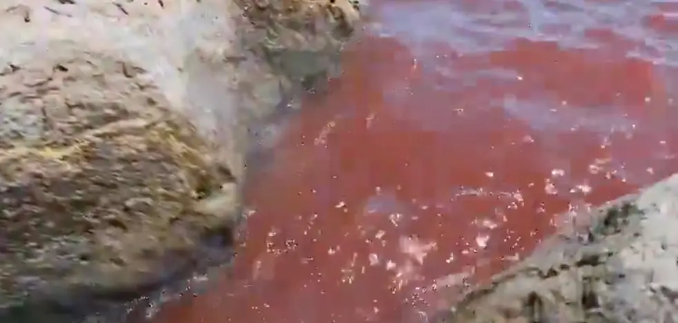 A video of the red lake has been going viral on X (Shiran Unger)