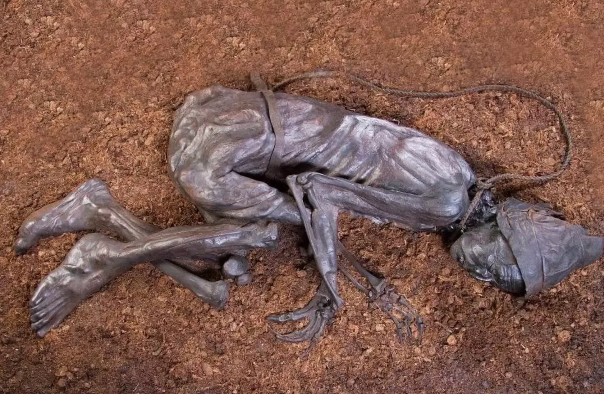 New technology has allowed researchers to study the fossil in a whole new light.