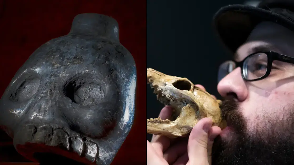 Robert Och/Getty Images / Tanner Pearson/The Boston Globe via Getty Images