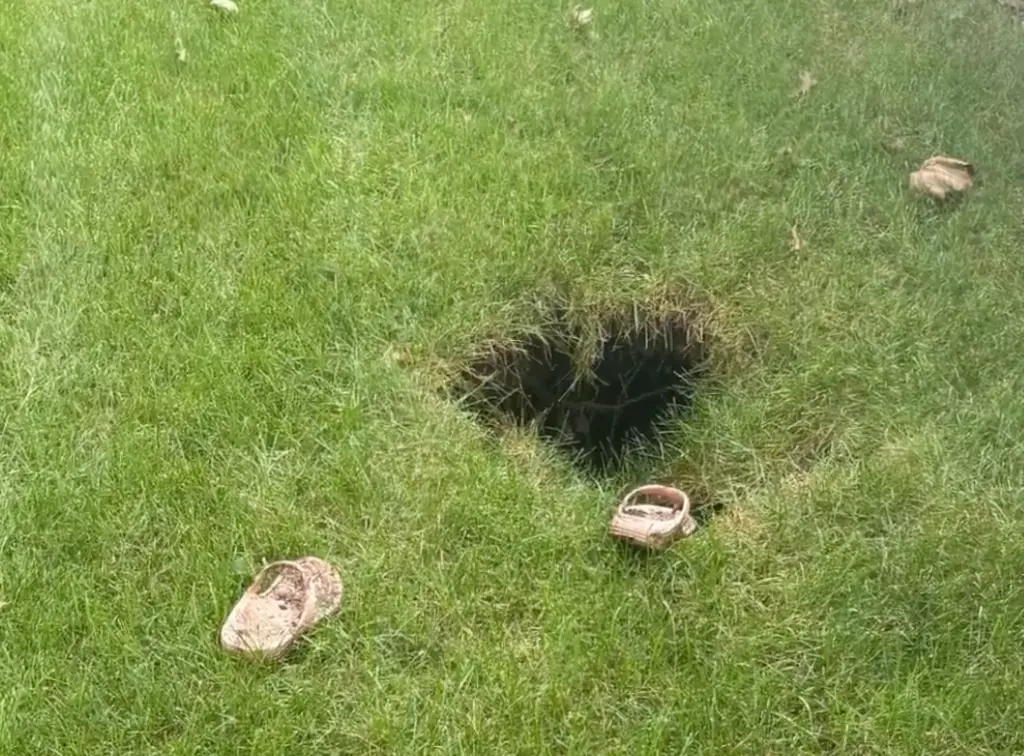 She fell down the hole in the garden (1010WINS)