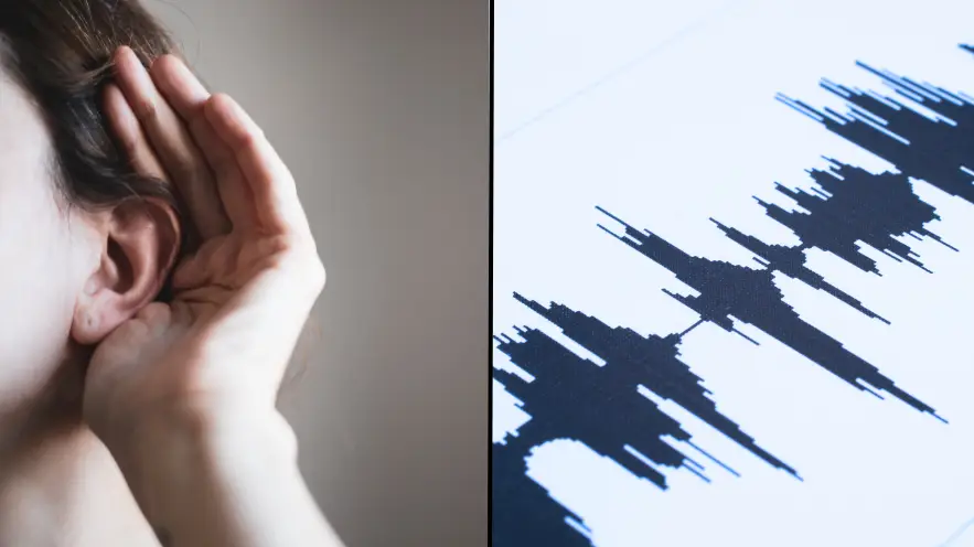 Basak Gurbuz Derman/ Getty Images / barisonal/ Getty Images