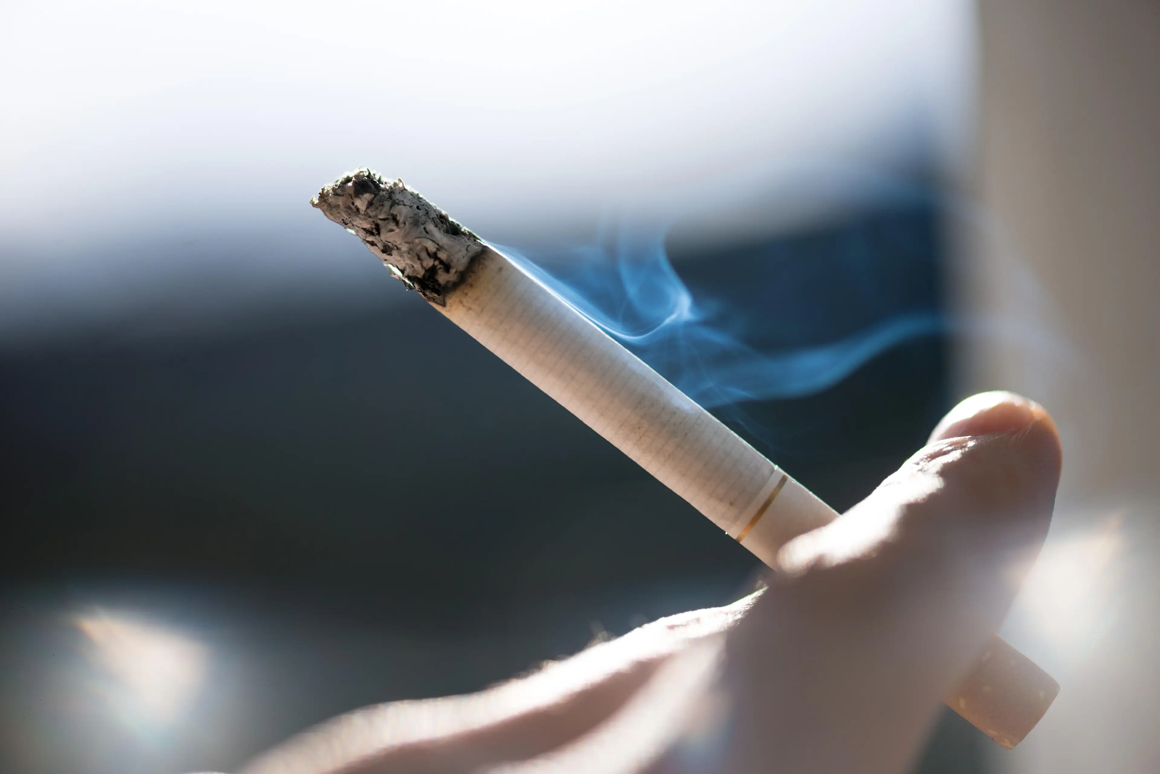 Researchers said smoking was the leading cancer risk factor.