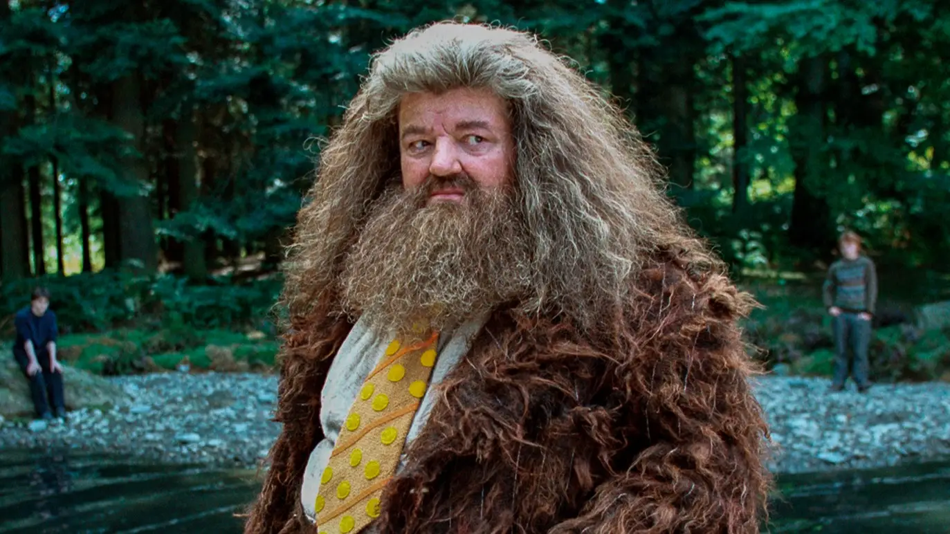 Murray Close/ Getty Images