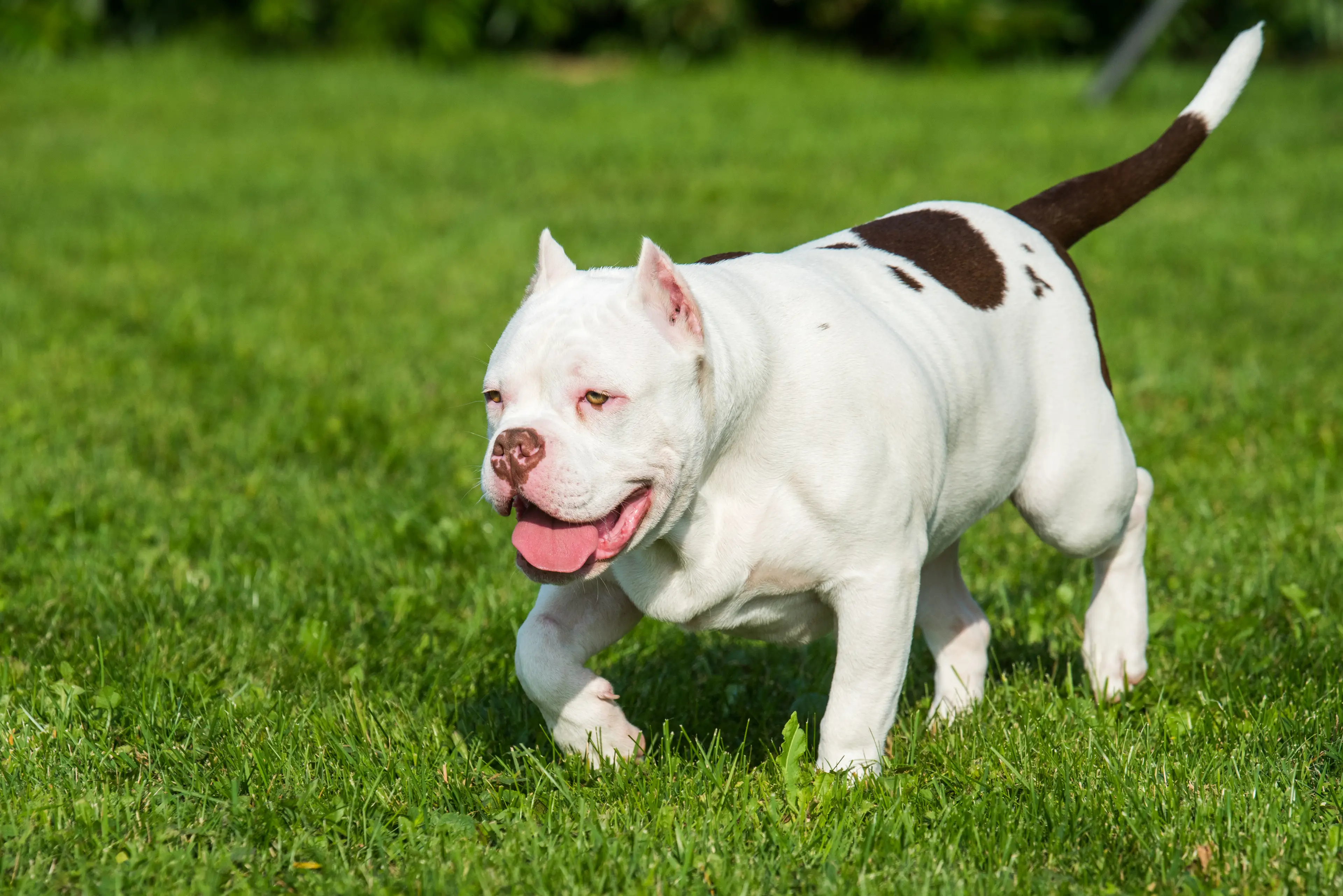 People are wondering what the term 'destroyed' means.