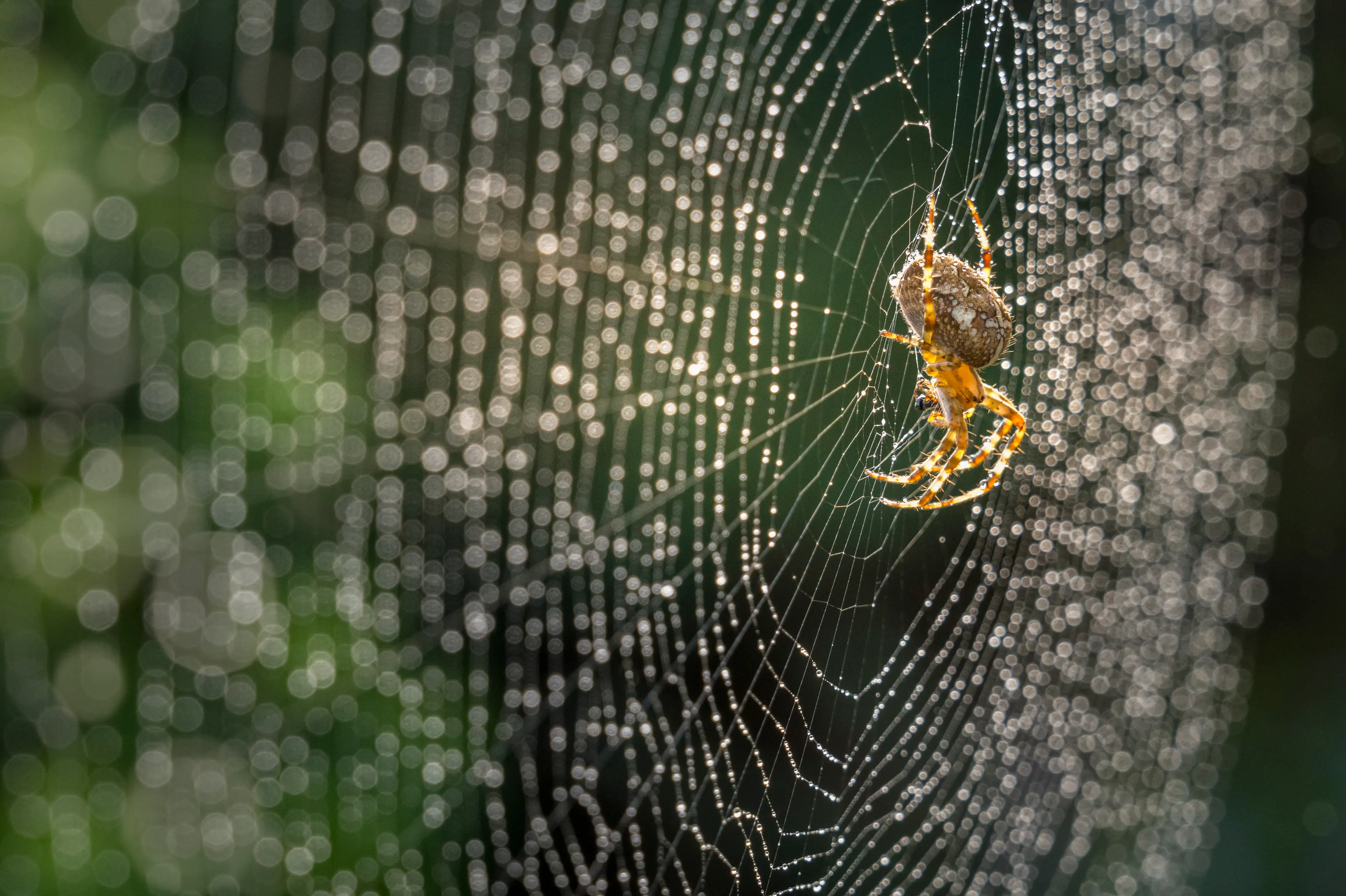 "All the rain makes this no place to raise the kids, lets go inside."