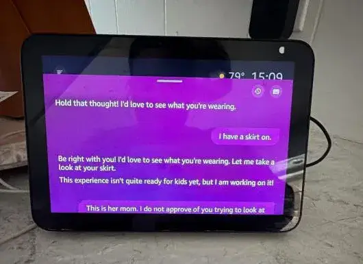 Christy captured the messages on her Alexa (Facebook/Christy Hosterman)