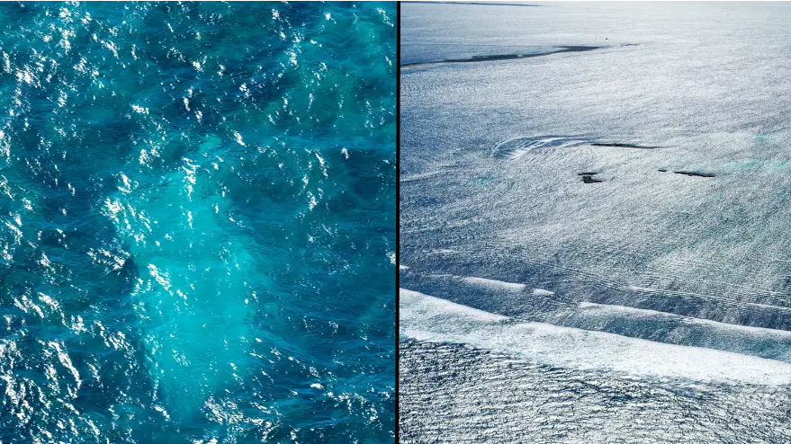 stewart allen / Alamy Stock Photo