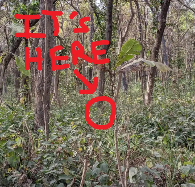 The solution to this brainteaser, not that you needed it you clever-clogs. (Reddit)