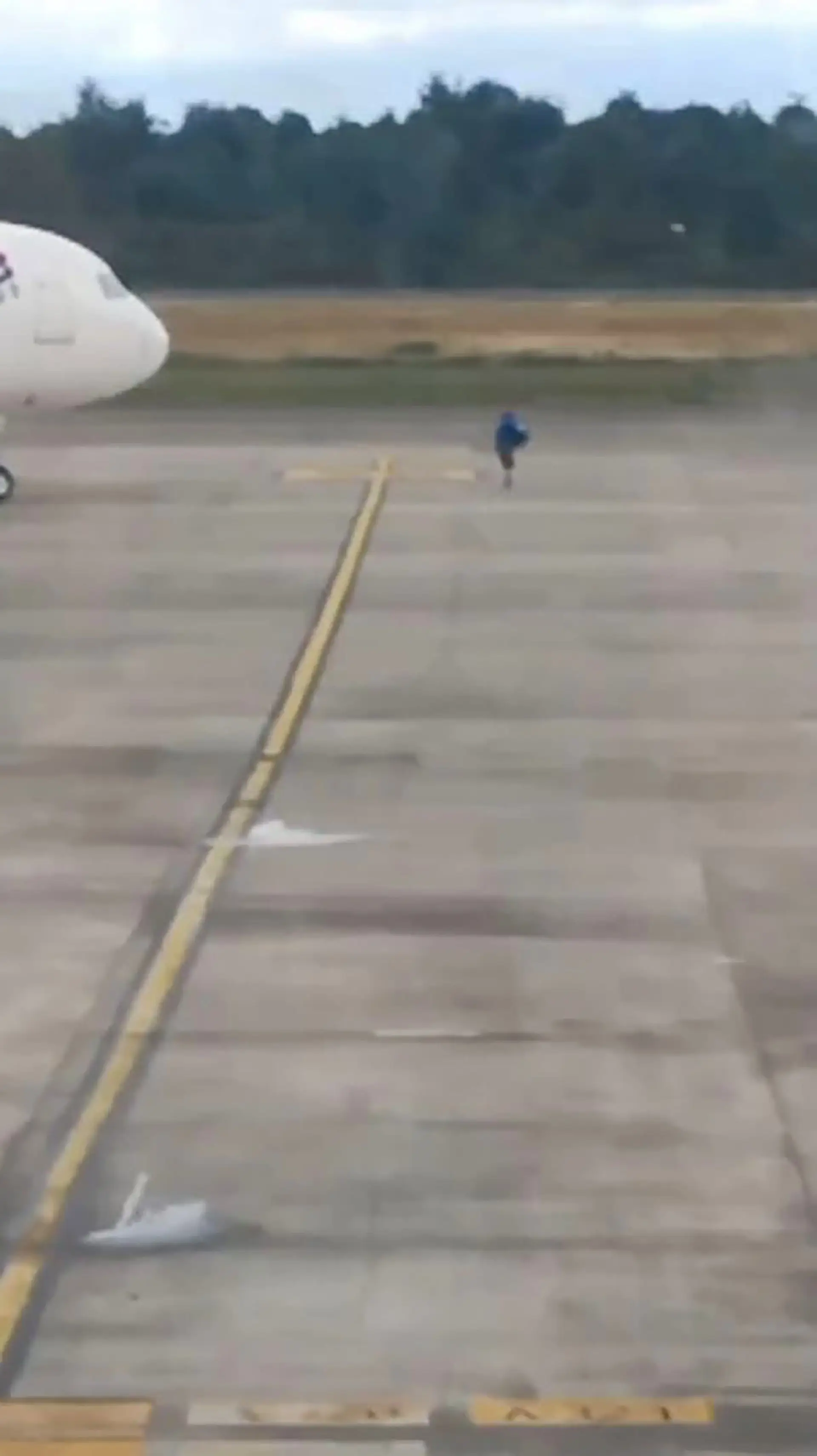A man was seen standing in front of a plane on the tarmac at El Tepual International Airport in Puerto Montt, Chile (Newsflash)