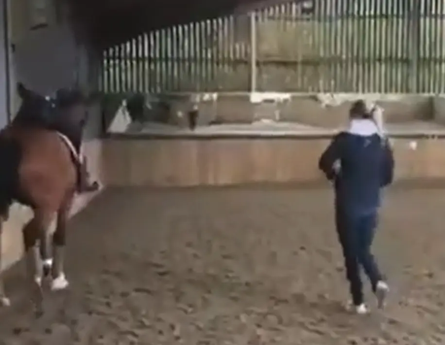 In the video Charlotte Dujardin whips the legs of a horse. (ITV)