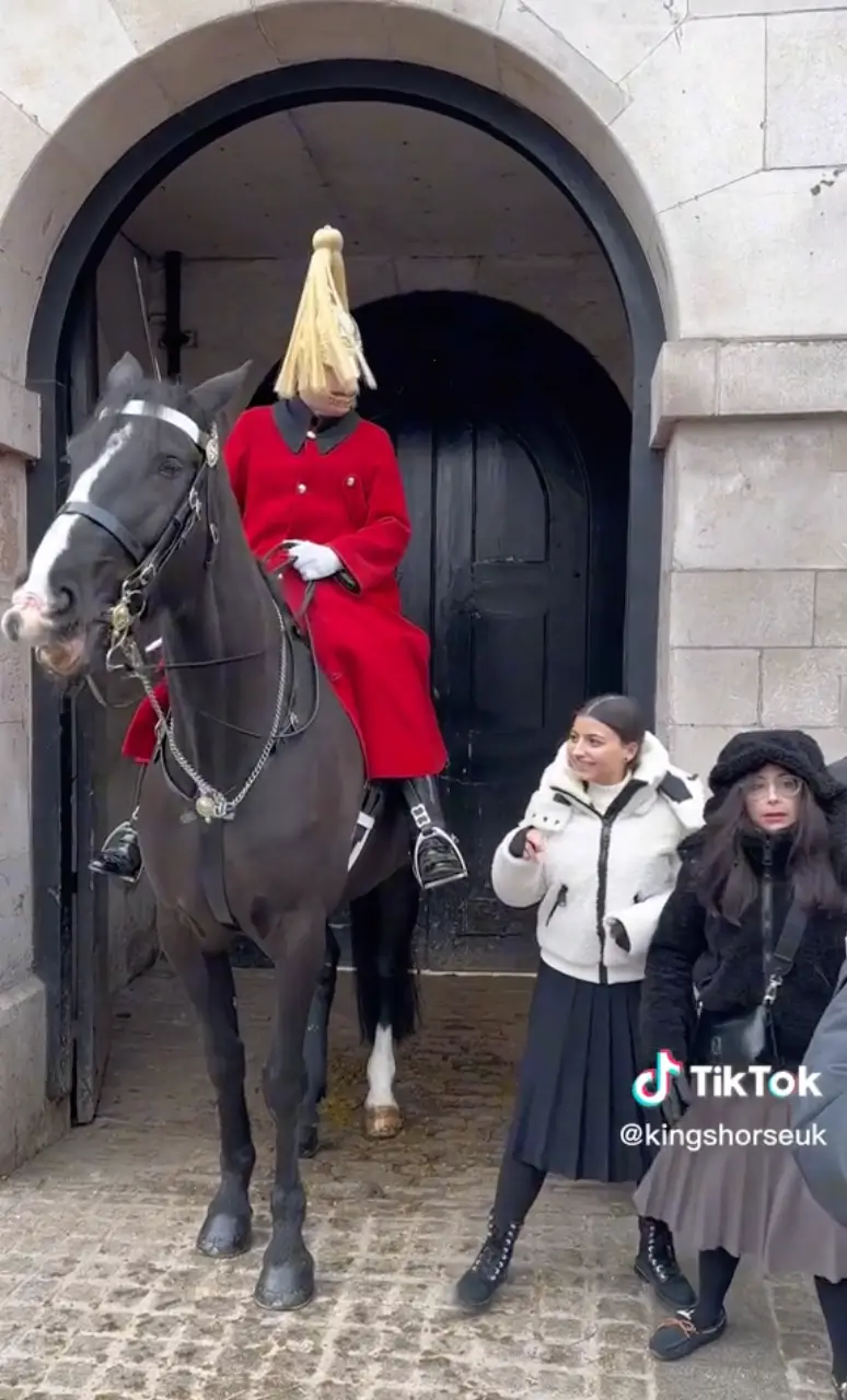 People are calling the tourist's behaviour childish.