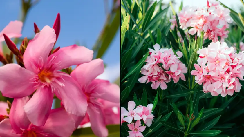 Wolfgang Kaehler/LightRocket via Getty Images/Getty Stock Images