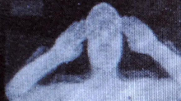 PAUL ELLIS/AFP via Getty Images