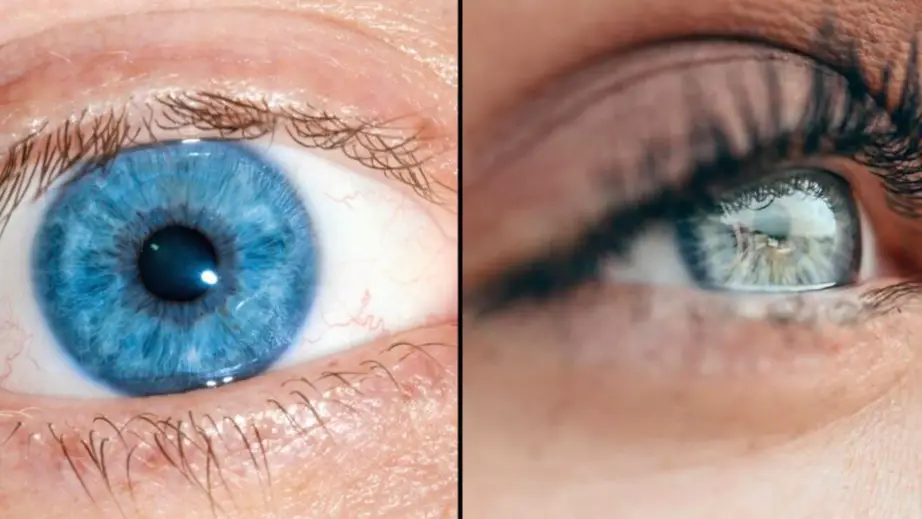 Every blue eyed person on Earth is a descendant of one single person, scientists find