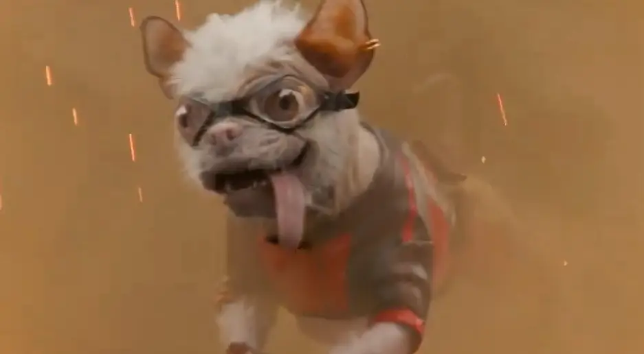 Peggy stars as Dogpool (Marvel)