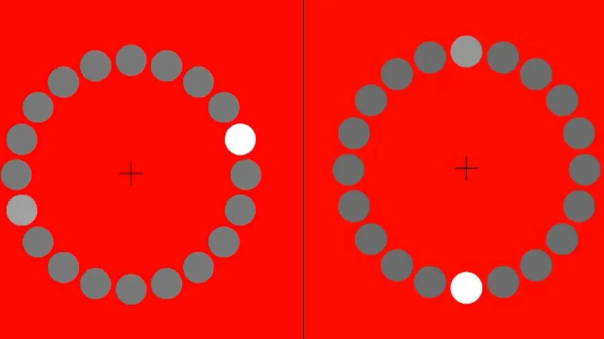 Illusion Of White Moving Dot Divides The Internet