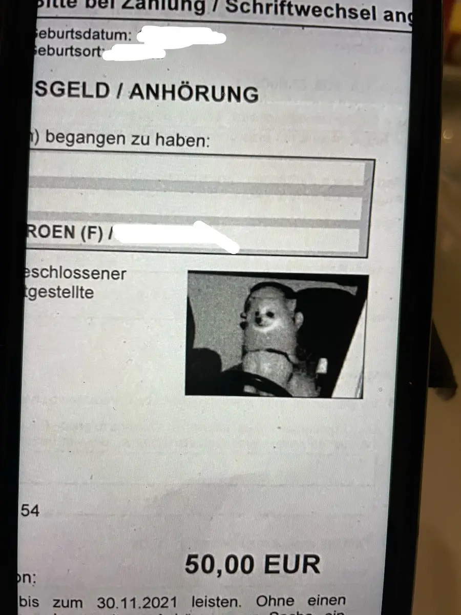 This pooch was handed a speeding fine.