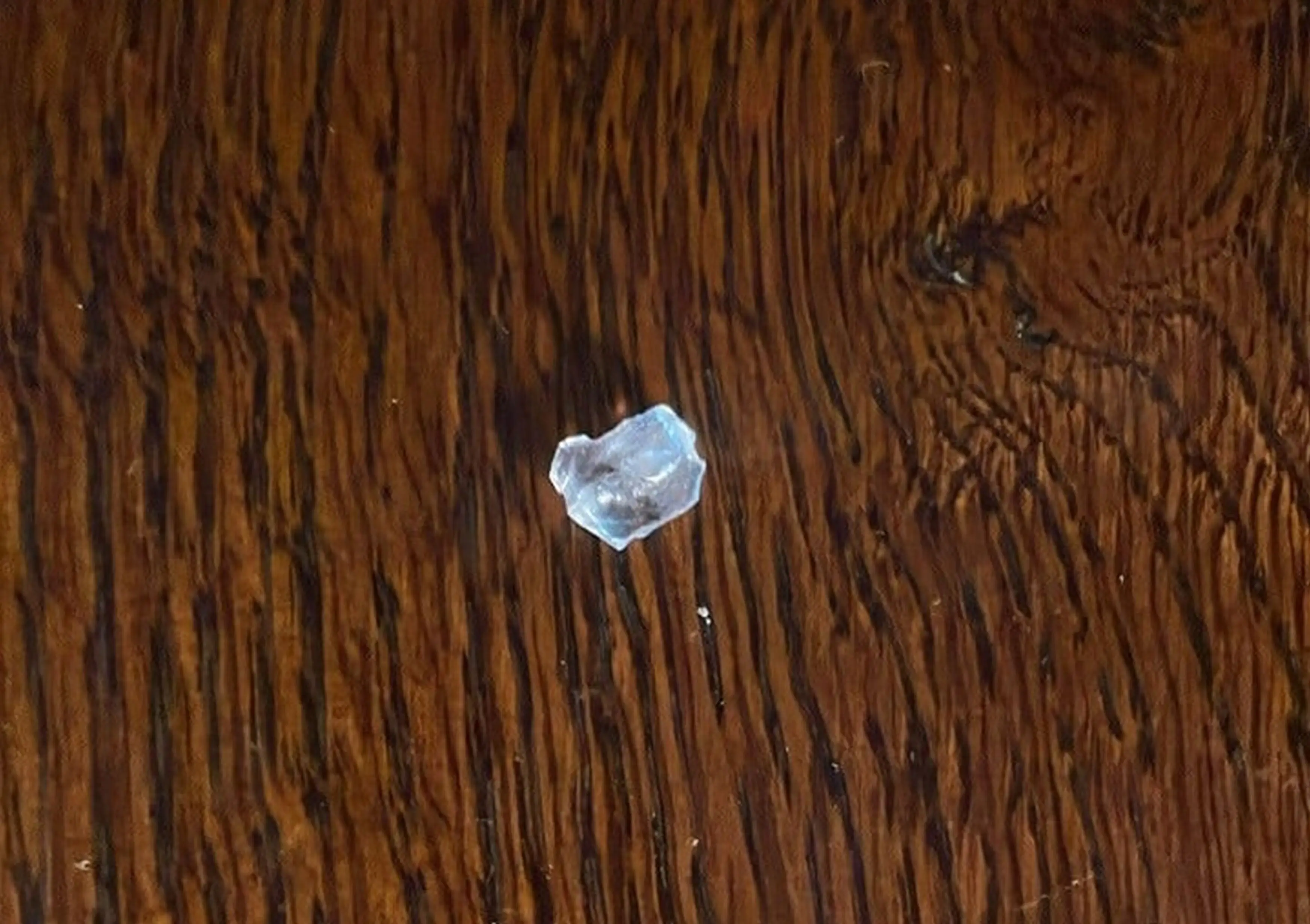 Managing director Miraz Yolcu said it was 'impossible' as San Marino don't use that sort of glass in the kitchen anyway (Kennedy News and Media)