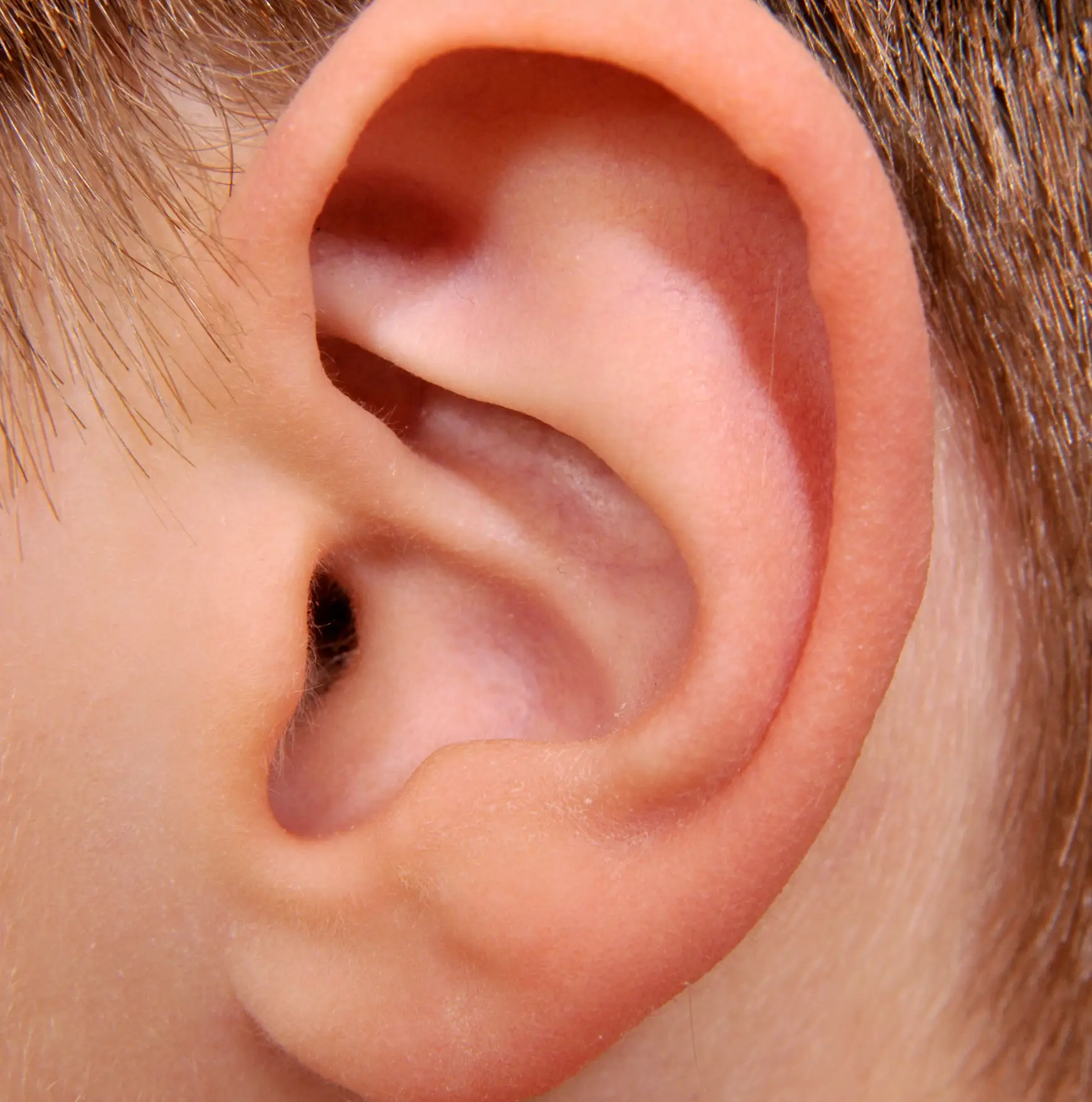 Four percent of the world's population can hear The Hum (Schöning/ullstein bild via Getty Images)