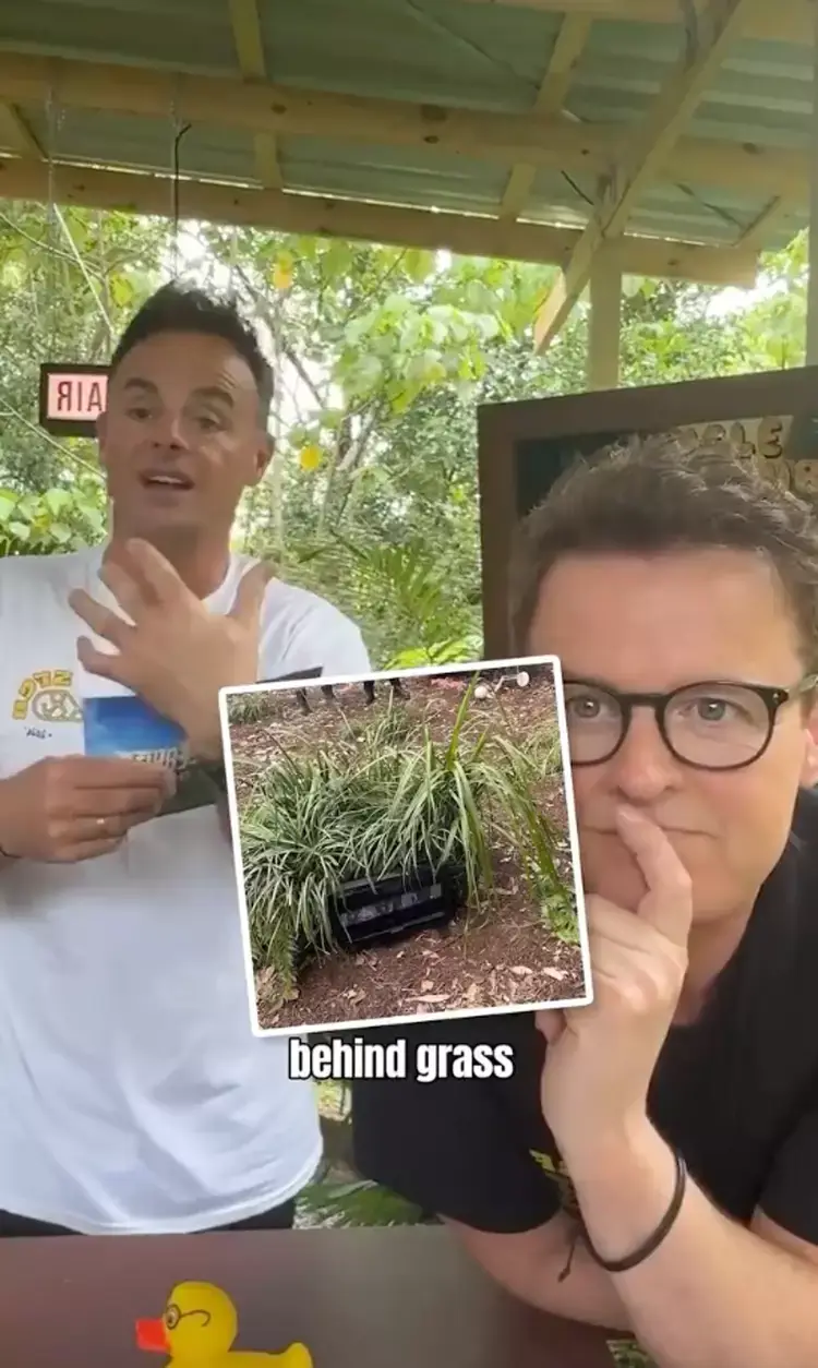 There's a hidden screen they can watch things on (Instagram/@antanddec)