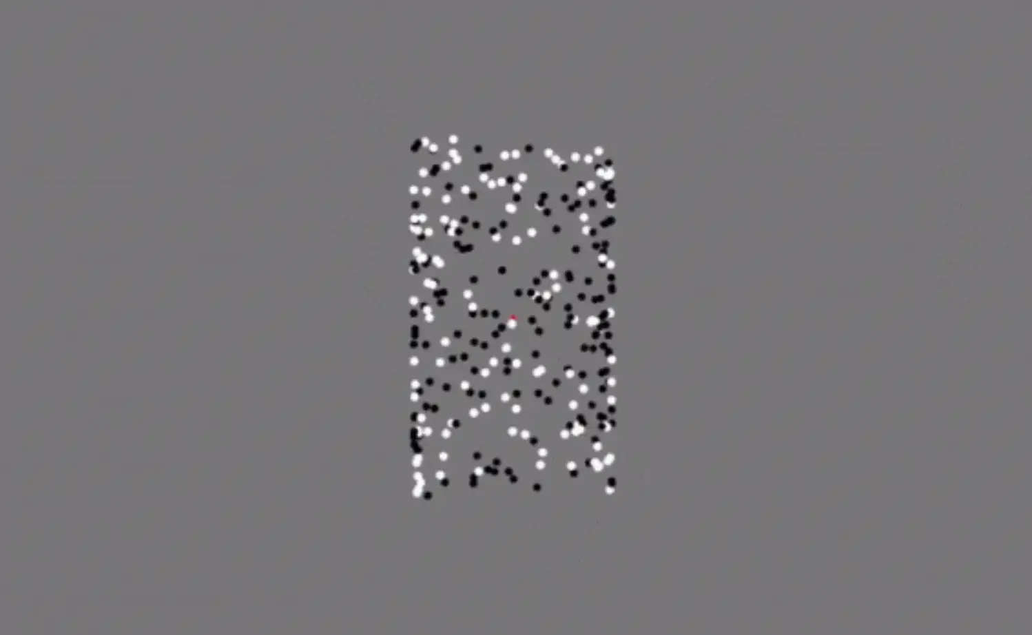 The optical illusion used in the study.