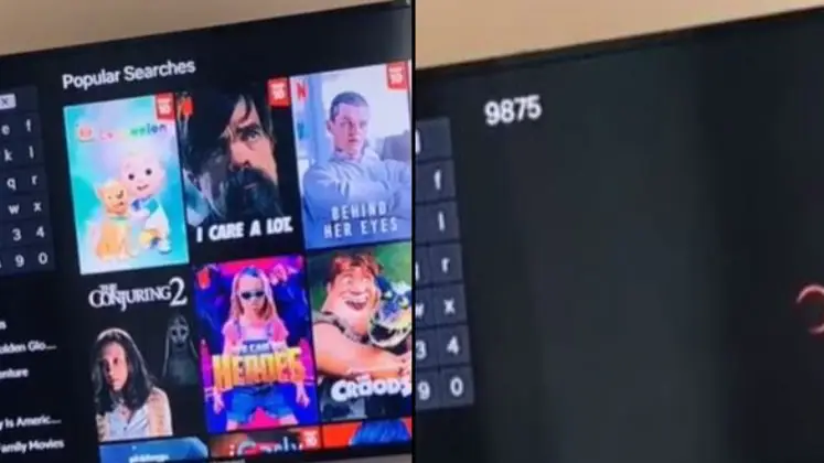 Netflix viewers say life has changed for the better after typing in '9875'