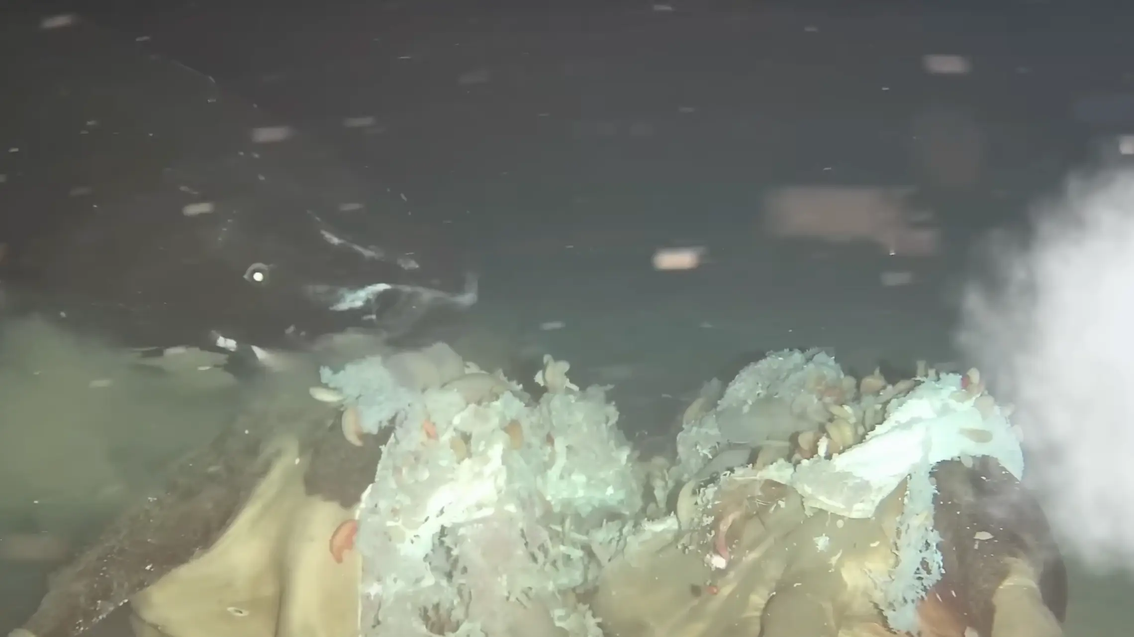 Ocean-Land-Atmosphere Research