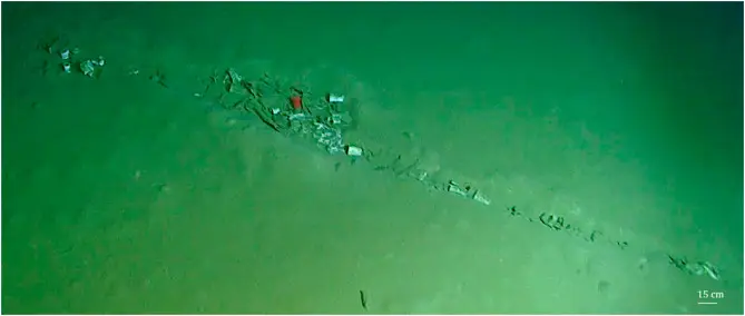 A 'litter hotspot' over the floor of the Calypso Deep (Marine Pollution Bulletin)