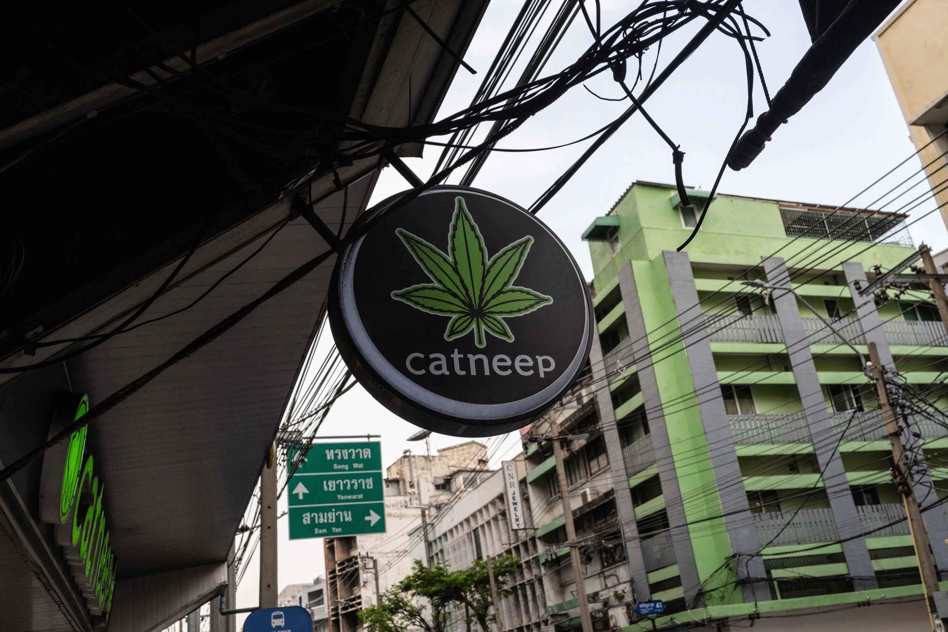 Cannabis laws in Thailand have changed (John Wreford/SOPA Images/LightRocket via Getty Images)