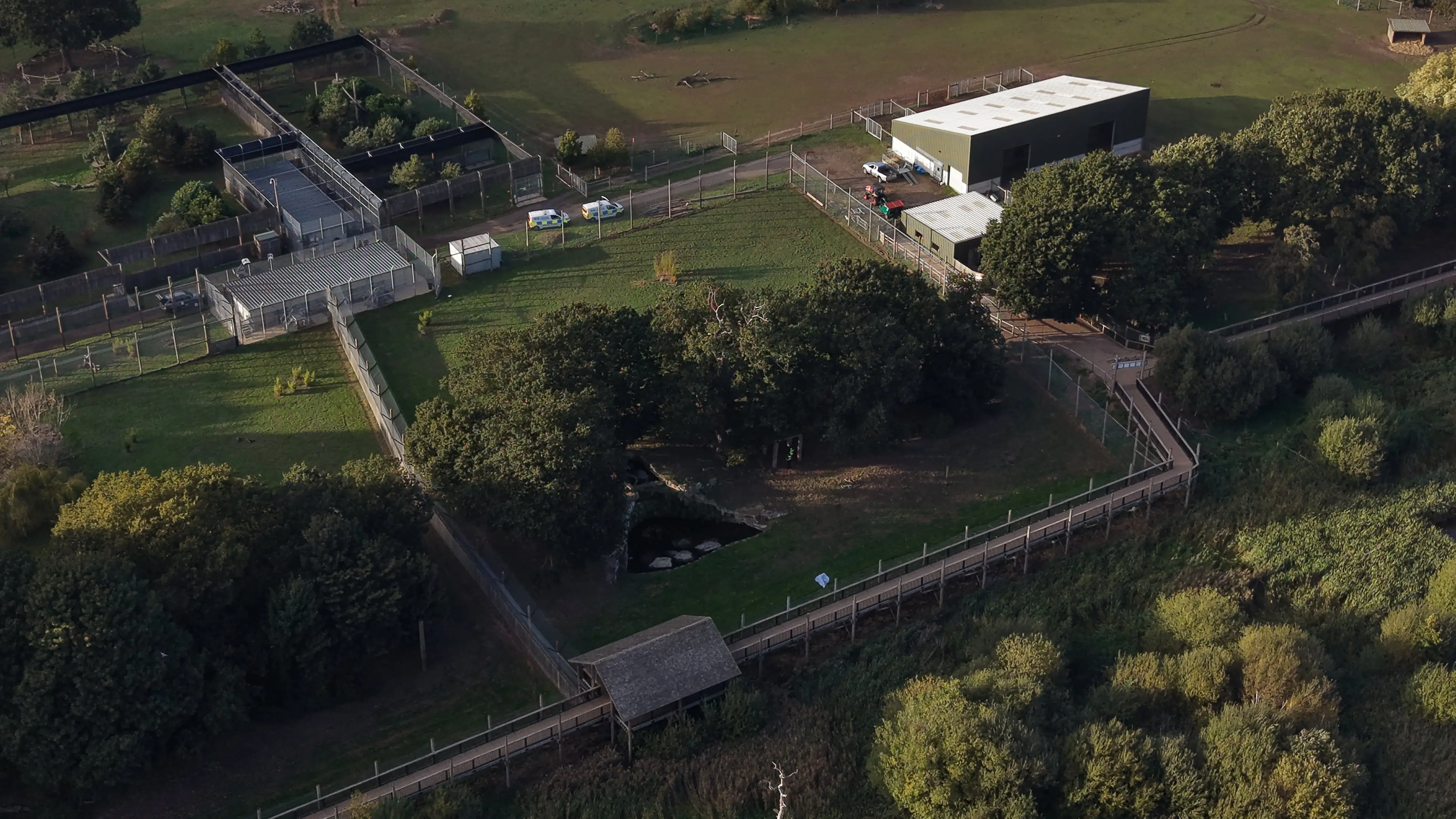It is currently not clear if the man was visiting the park alone before he climbed into the enclosure. (SWNS)