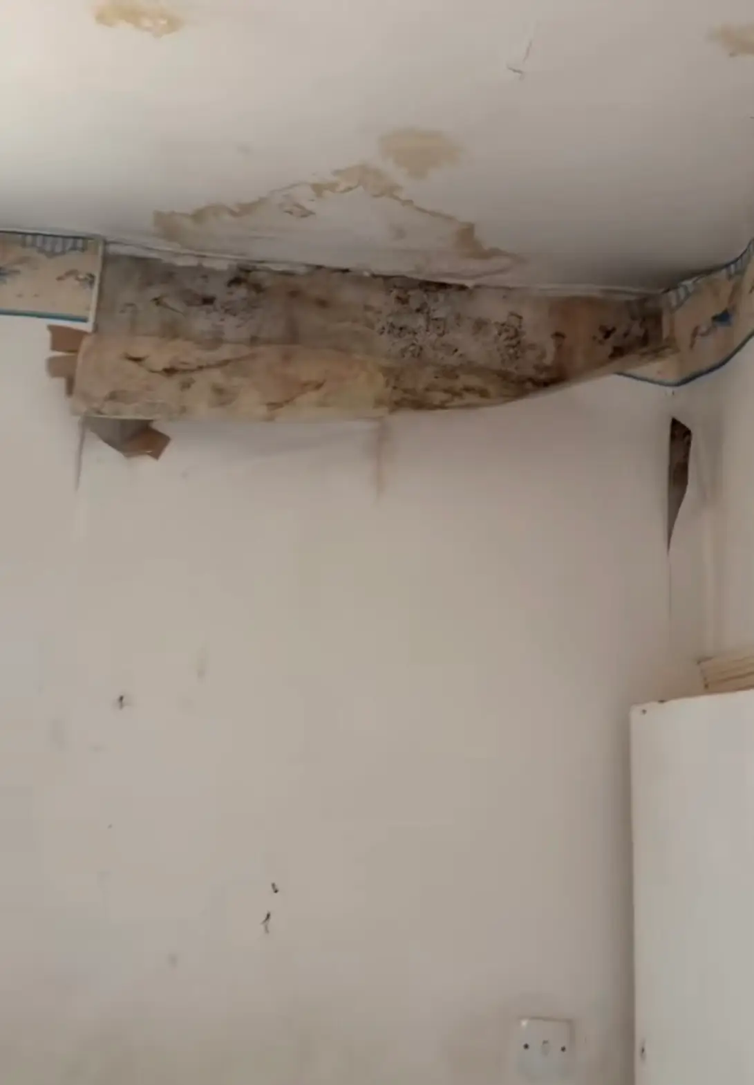 Fans of the streamer said the place - which featured 'mouldy' wallpaper' - resembled a 'pub' (TikTok/@angryginge13)