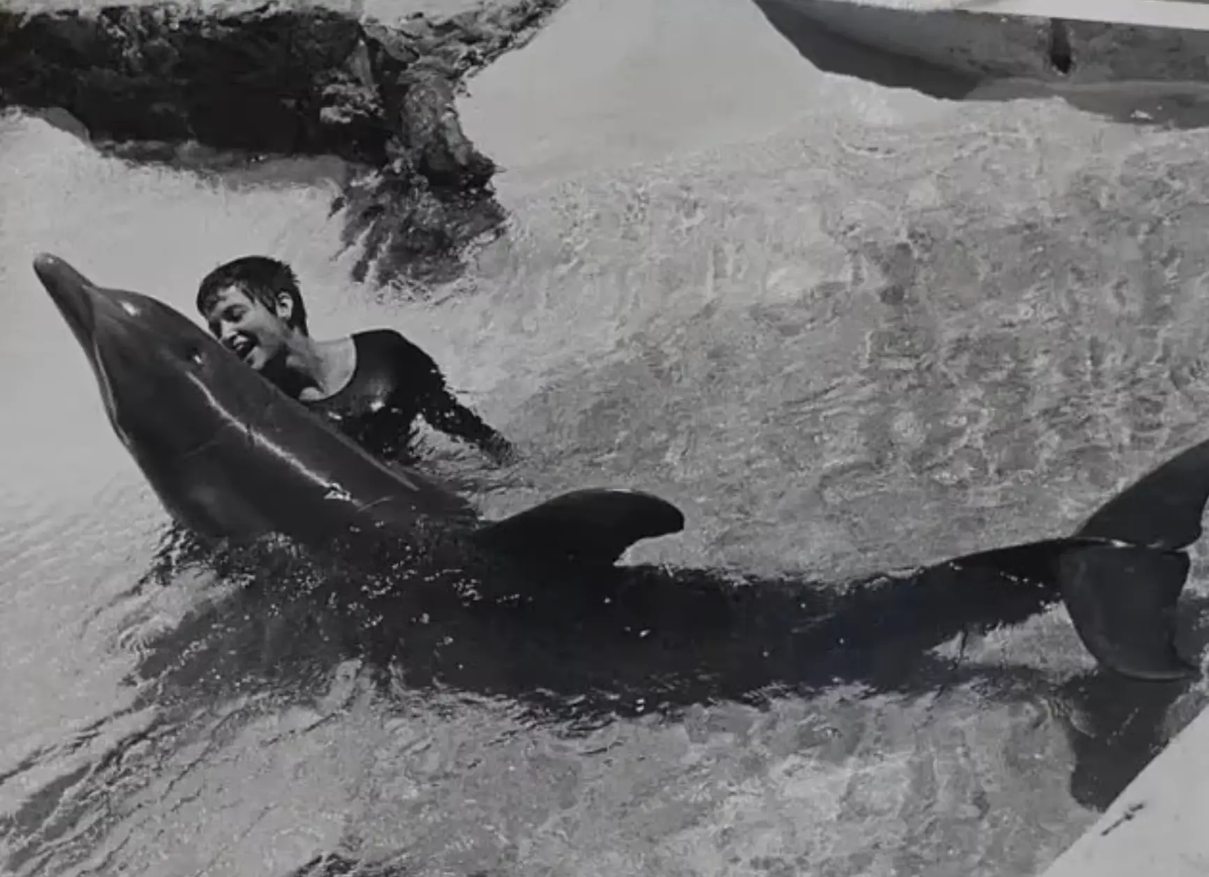 Lovatt shared a unique relationship with the dolphin (John Lilly Estate)