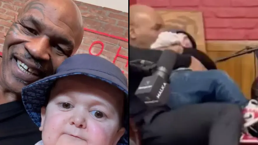 Twitter/@hasbullahive/Twitter/@hotboxinpodcast