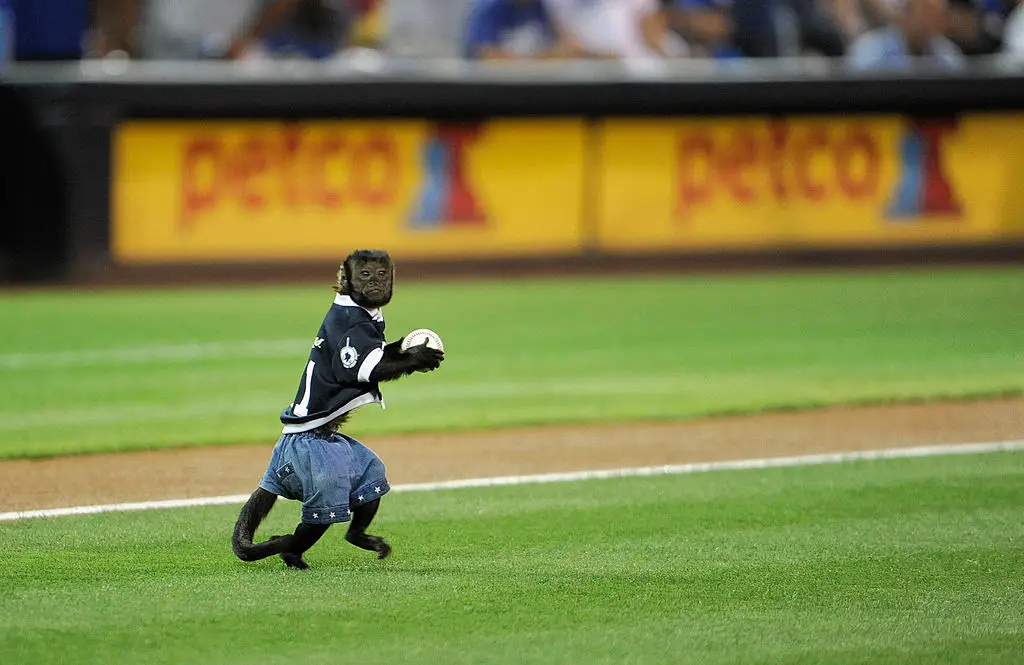 She's had a pretty crazy life (Rob Kim/Getty Images)