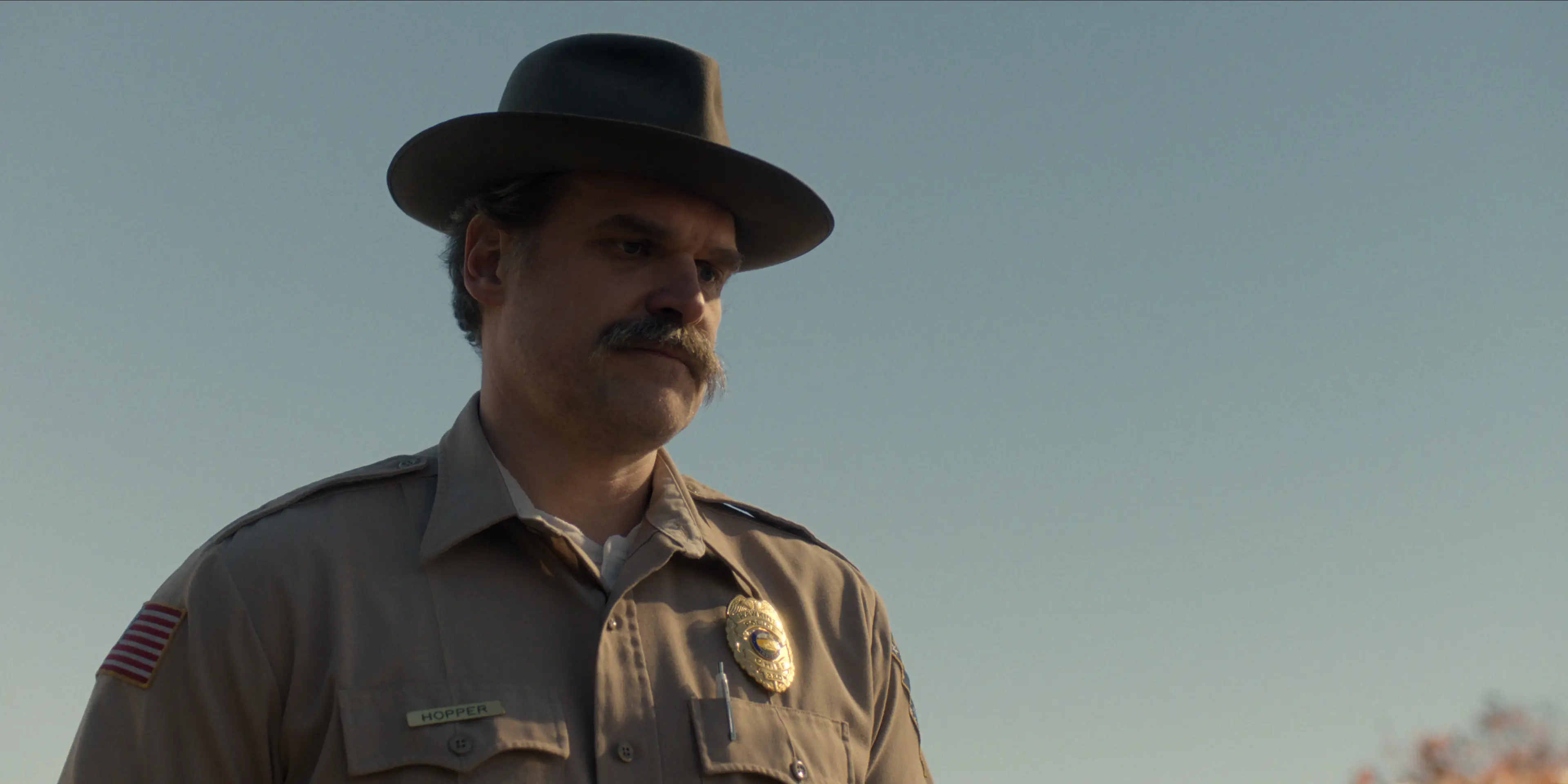David Harbour as Hopper (Netflix)