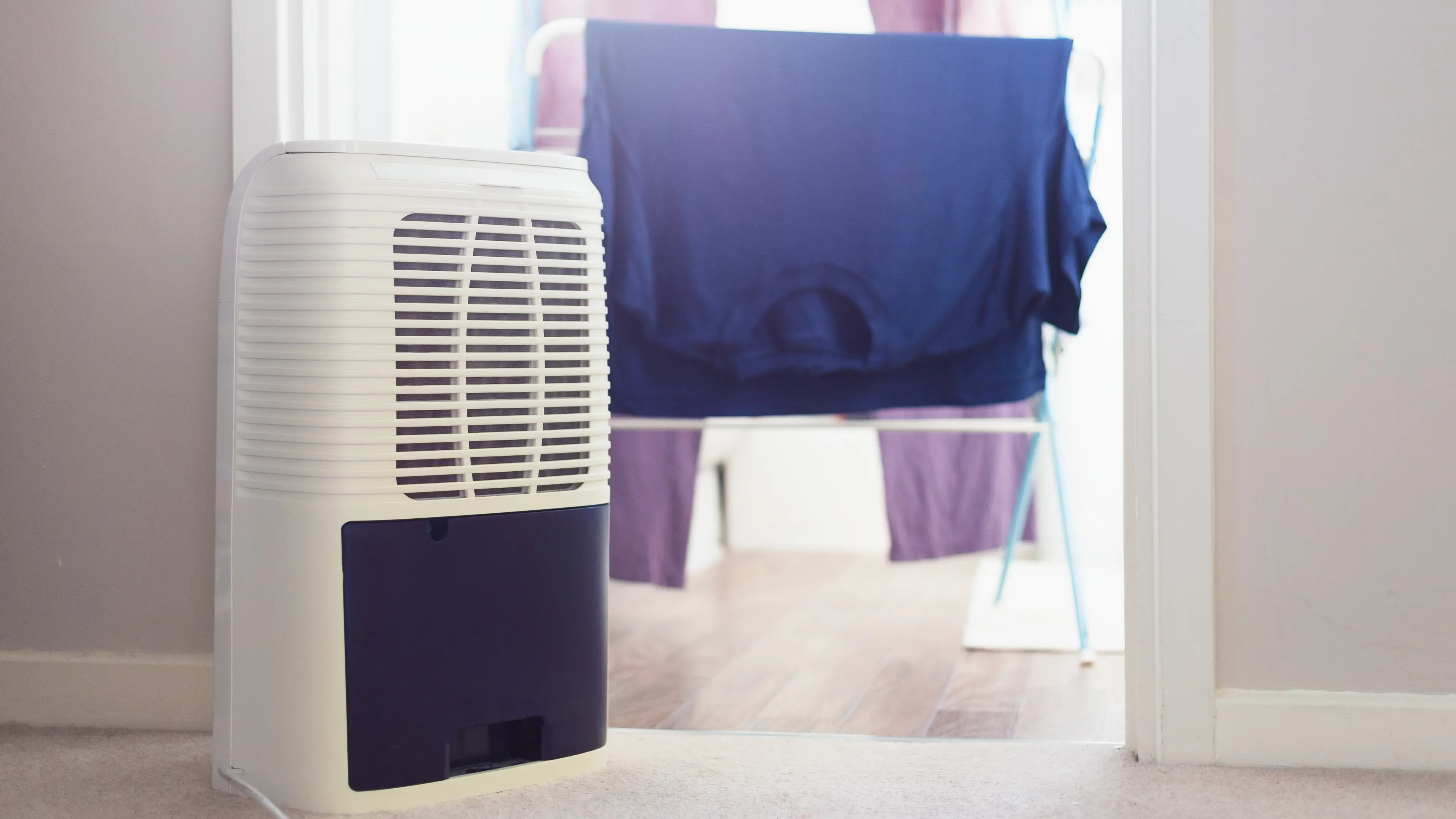 Damp season is here: early Prime Day deals that'll dry out your home and your car
