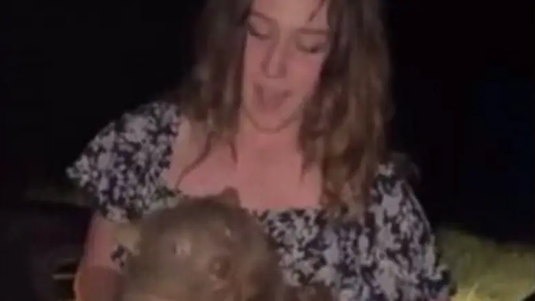 Instagram/samstrays_somewhere