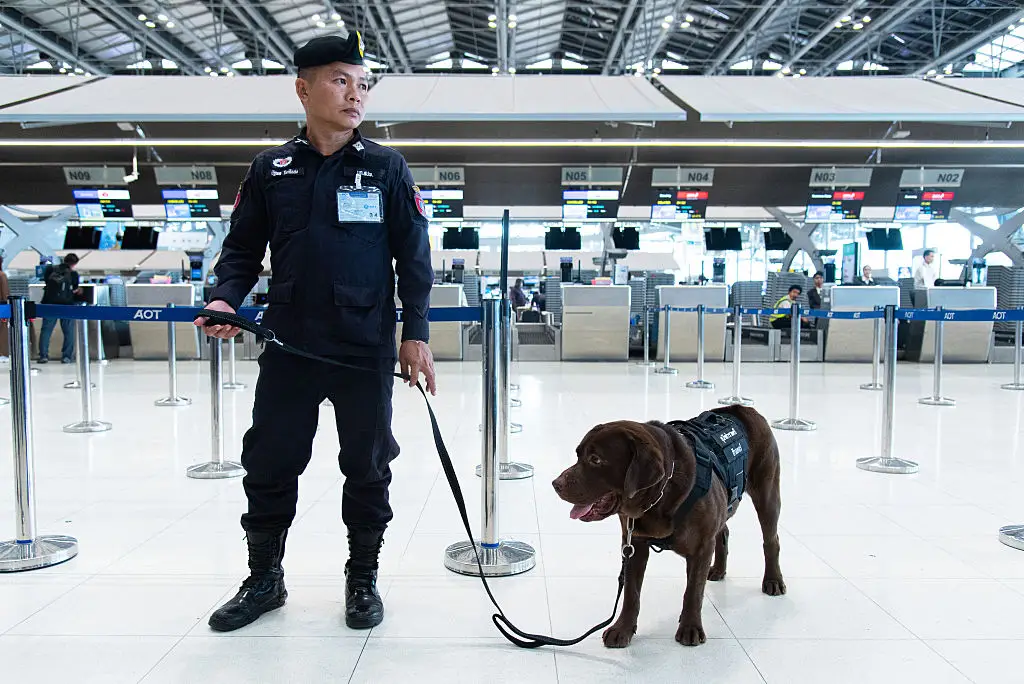 Police with sniffer dogs at Bangkok airport (Peerapon Boonyakiat/SOPA Images/LightRocket via Getty Images)