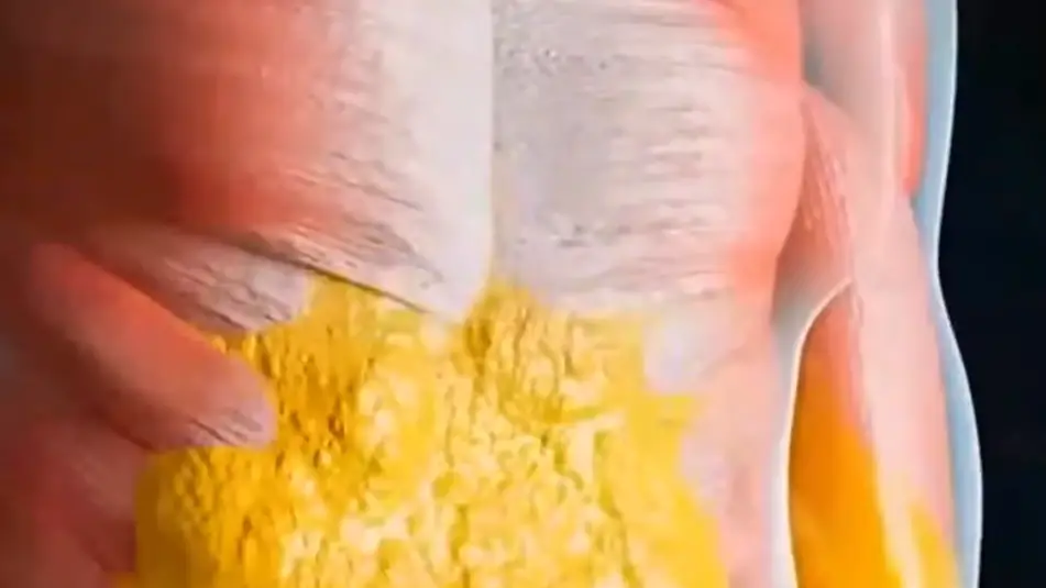 YouTube/Wellness Wise