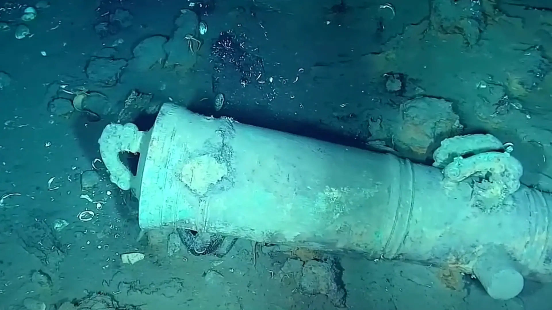 Youtube/DimarColombia