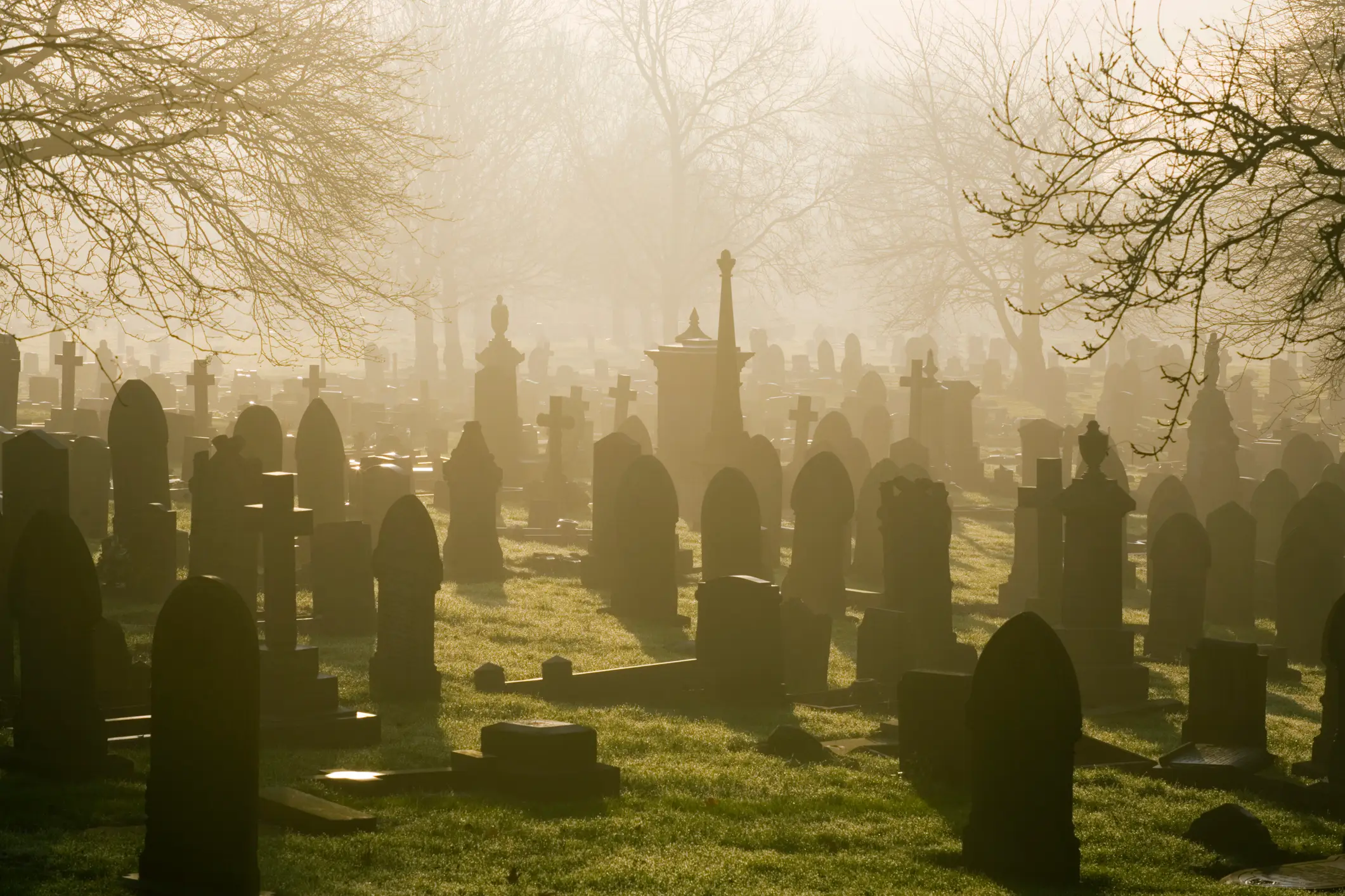 He is alleged to have collected the body parts from 'abandoned cemeteries' and his place of work (Getty Stock Image)