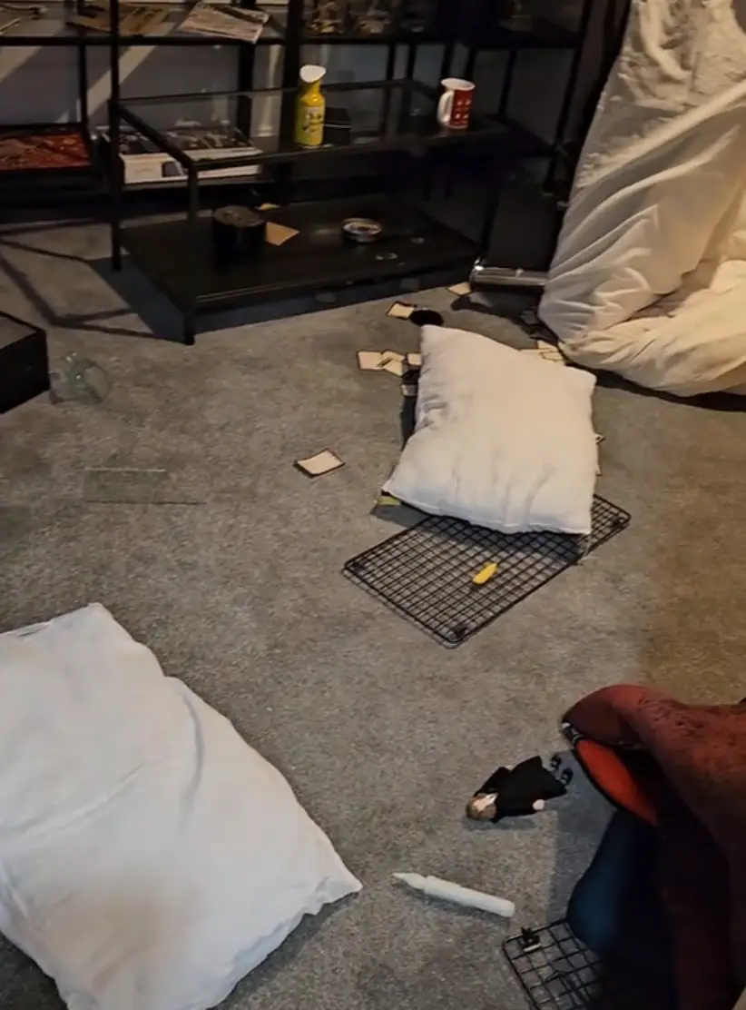 Not even your strongest 'scourgify' or 'reparo' could fix this (TikTok/Homelea.stays)