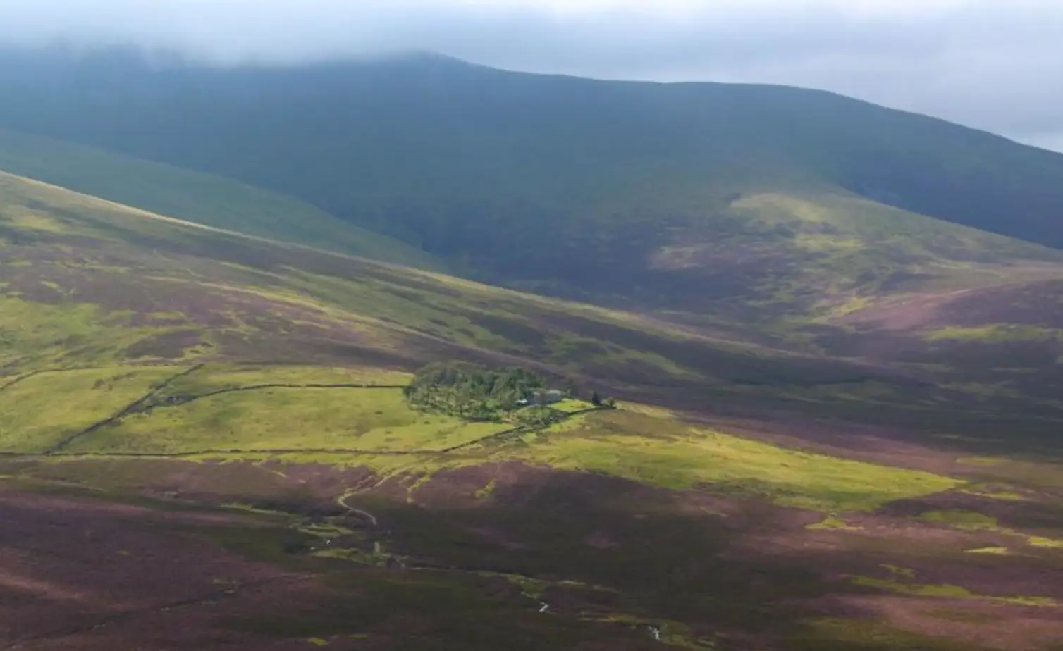 You see that grey slither in the centre? That's the house.