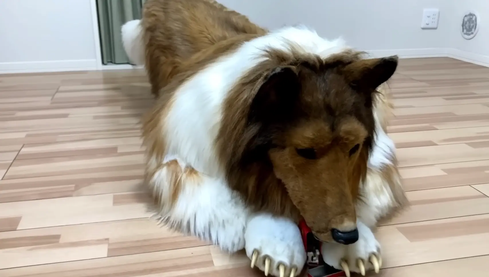 Toco says he's worried about telling friends.