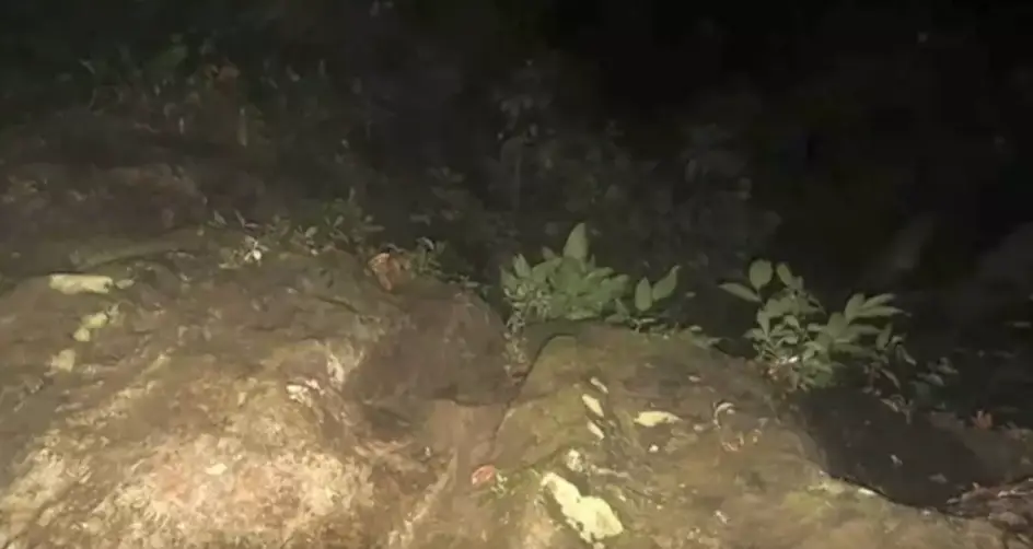 A photo taken on the camera at night while using the flash (TVN2)