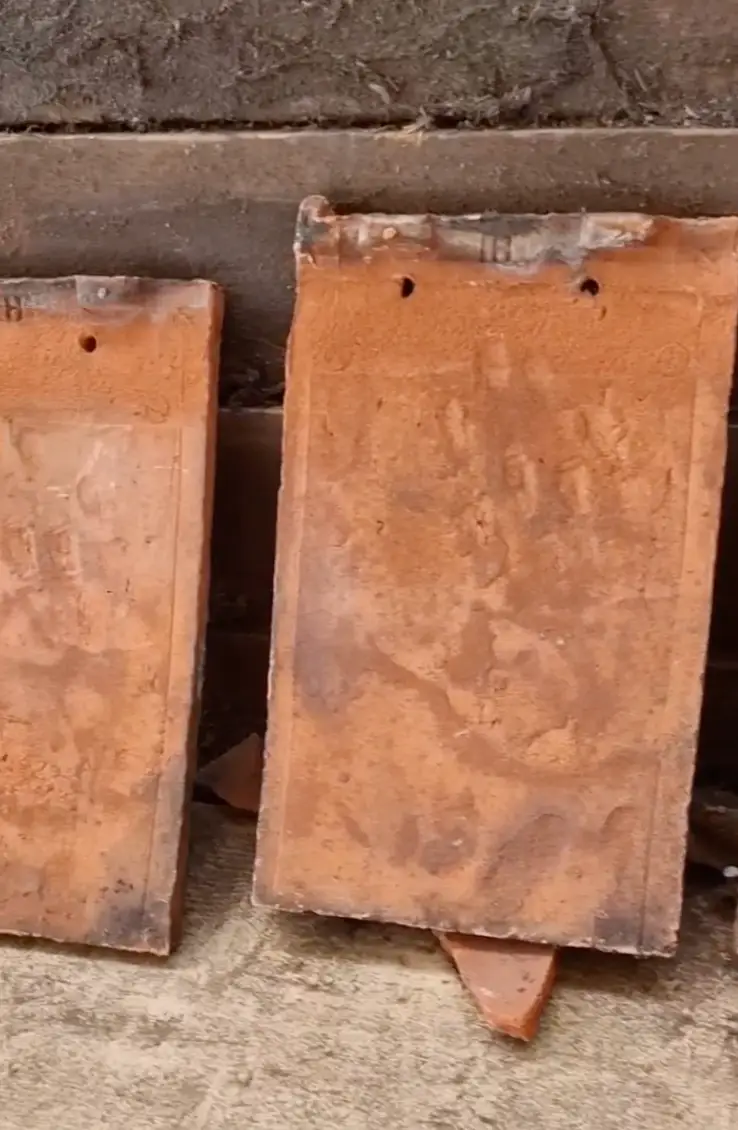 He noticed handprints on the back. (Instagram/@touchstone.surrey)