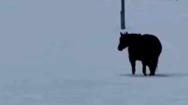 TikTok/rudniktheroan