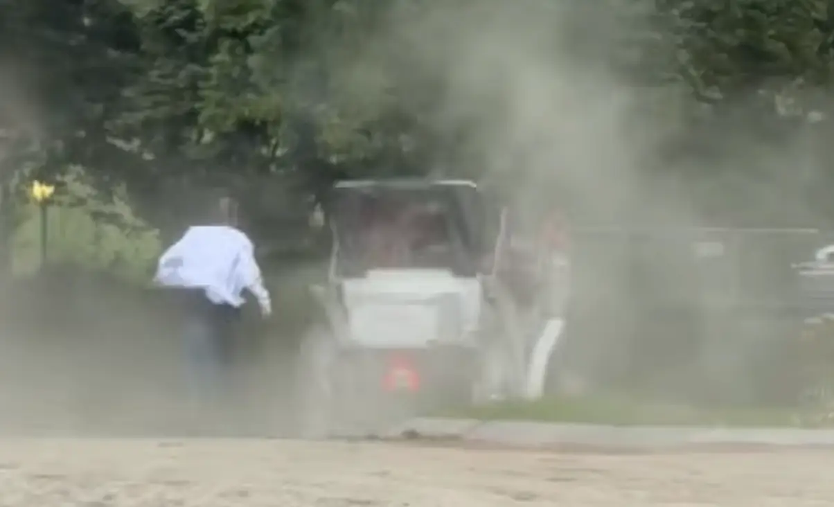 The driver had stepped off the carriage to take a picture of the family when the horse bolted (X/NYCClass)