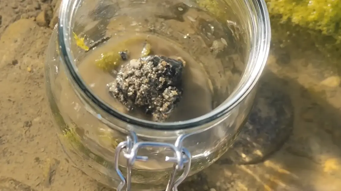 YouTube/@HabitatForge